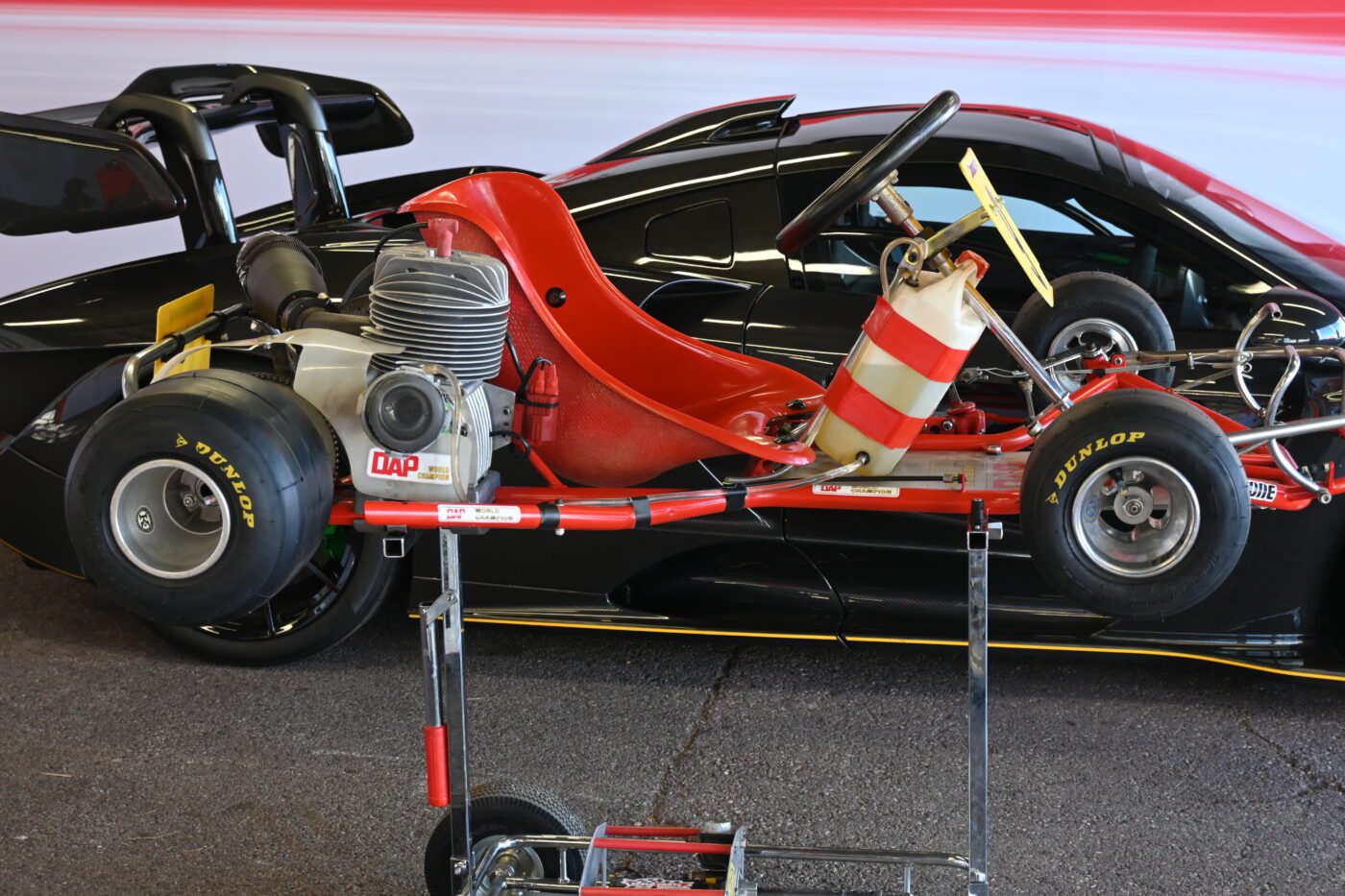 Ayrton Senna