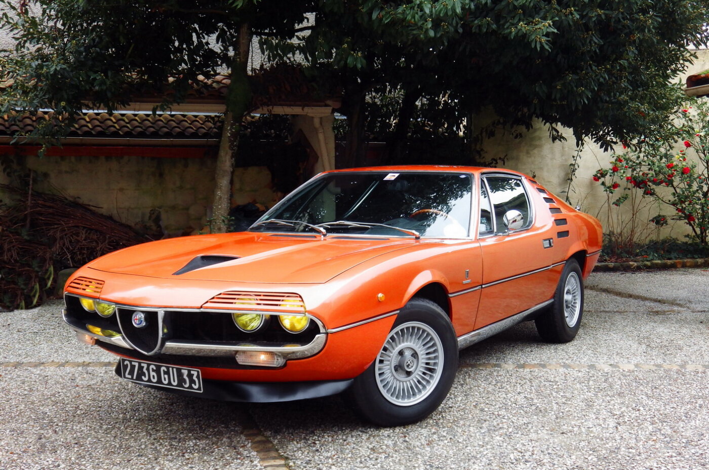 Alfa Romeo Montreal, Pourquoi viens-tu si tard ?